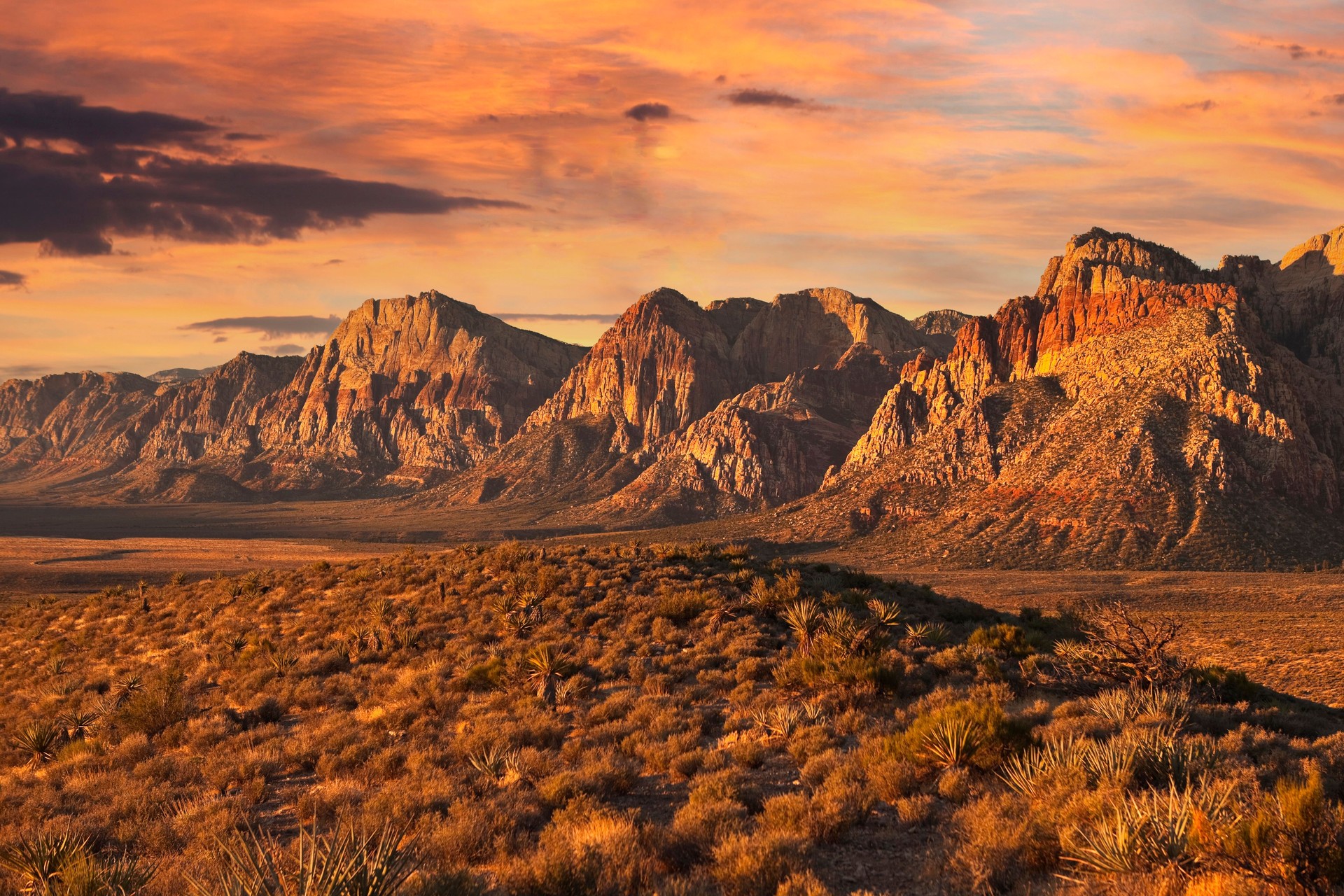 Nevada Desert Dawn with Dramatic Sky